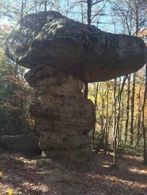 Miscellaneous - Chattanooga Mountain Cabin | Private Hot Tub (Chattanooga)