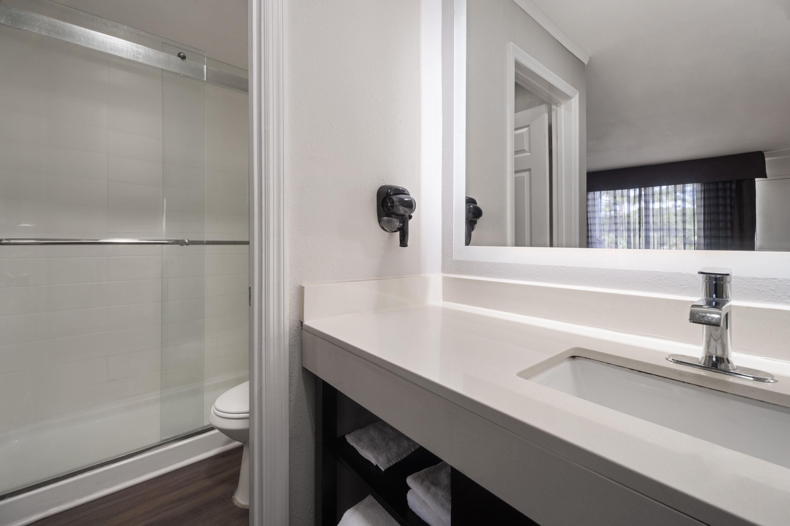 A modern bathroom with a shower, toilet, and a large mirror.