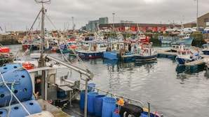 A harbor with multiple boats docked, a large industrial building in the background, and a cloudy sky. - Viola Cottage (Fraserburgh)