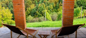 A pleasant house, surrounded by greenery in Croatia with a hot tub and sauna