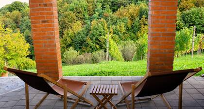 A pleasant house, surrounded by greenery in Croatia with a hot tub and sauna