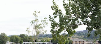 The Point on Wood Lake