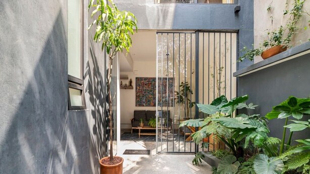 Un patio estrecho con una planta en maceta, un sofá y una verja.