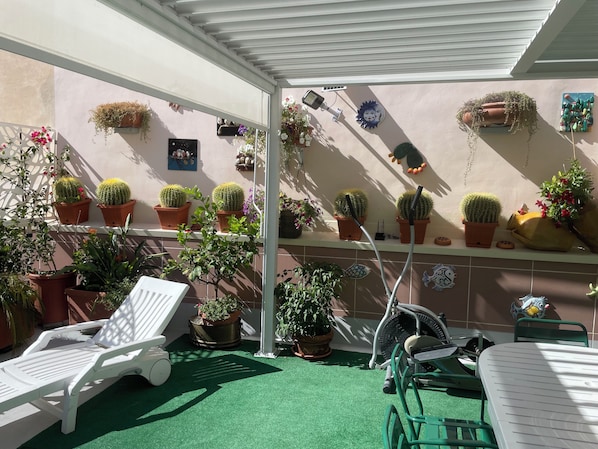 Terraza o patio
