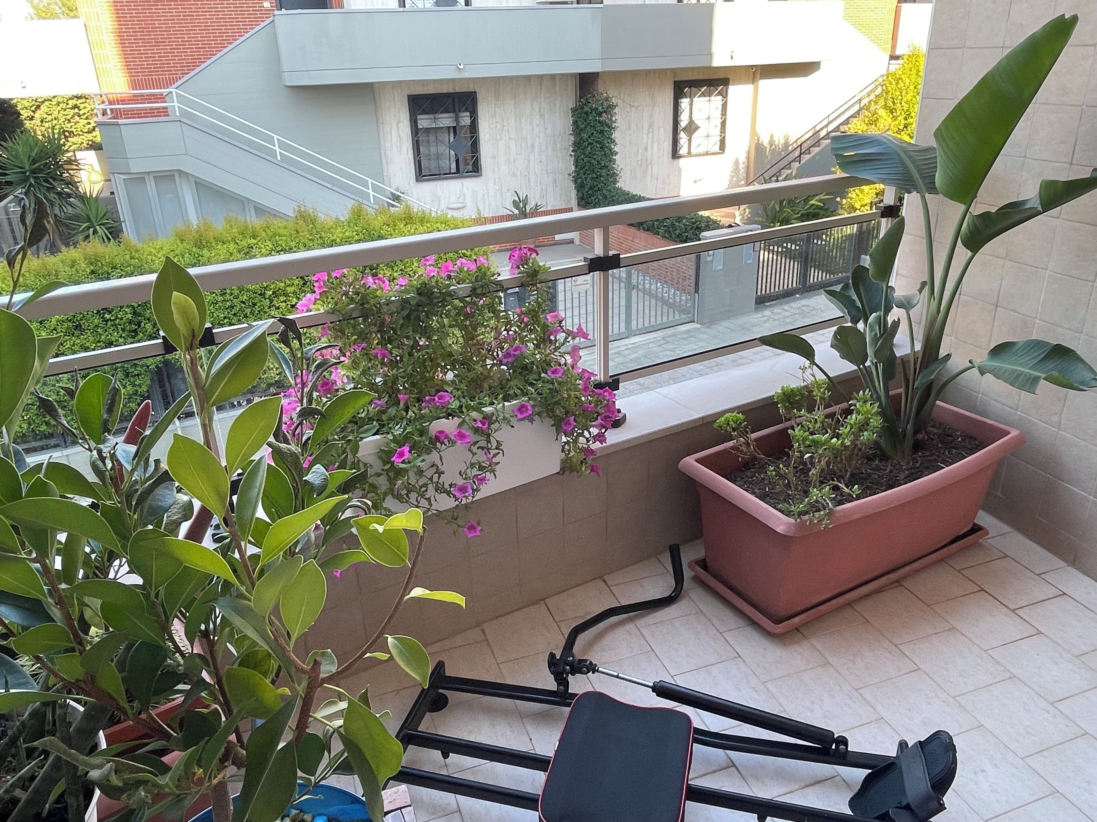 Instalaciones deportivas