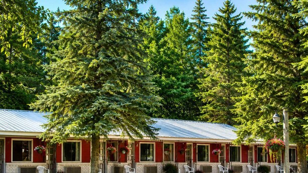 Ein Chalet mit einem Kiesweg, der zu einem roten Gebäude mit weißen Verzierungen führt, umgeben von Bäumen.
