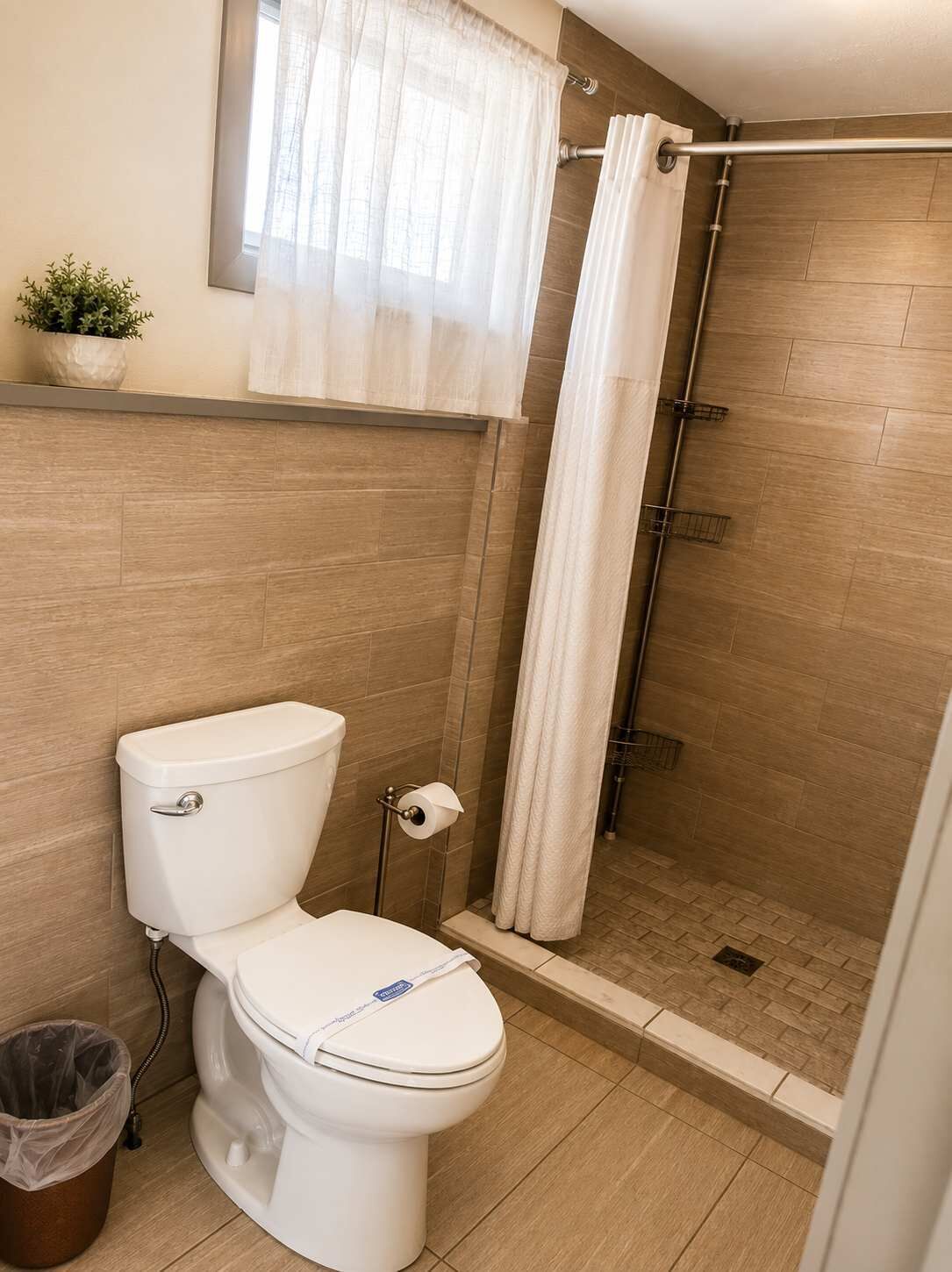 Une salle de bain avec des toilettes, une douche et une plante en pot.