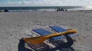 A beach with sun loungers and a tent. - The Tropical Garden Paradise🌴 on St. Pete Beach🌞⛱️🌊Friendly Native #802 (St. Pete Beach)