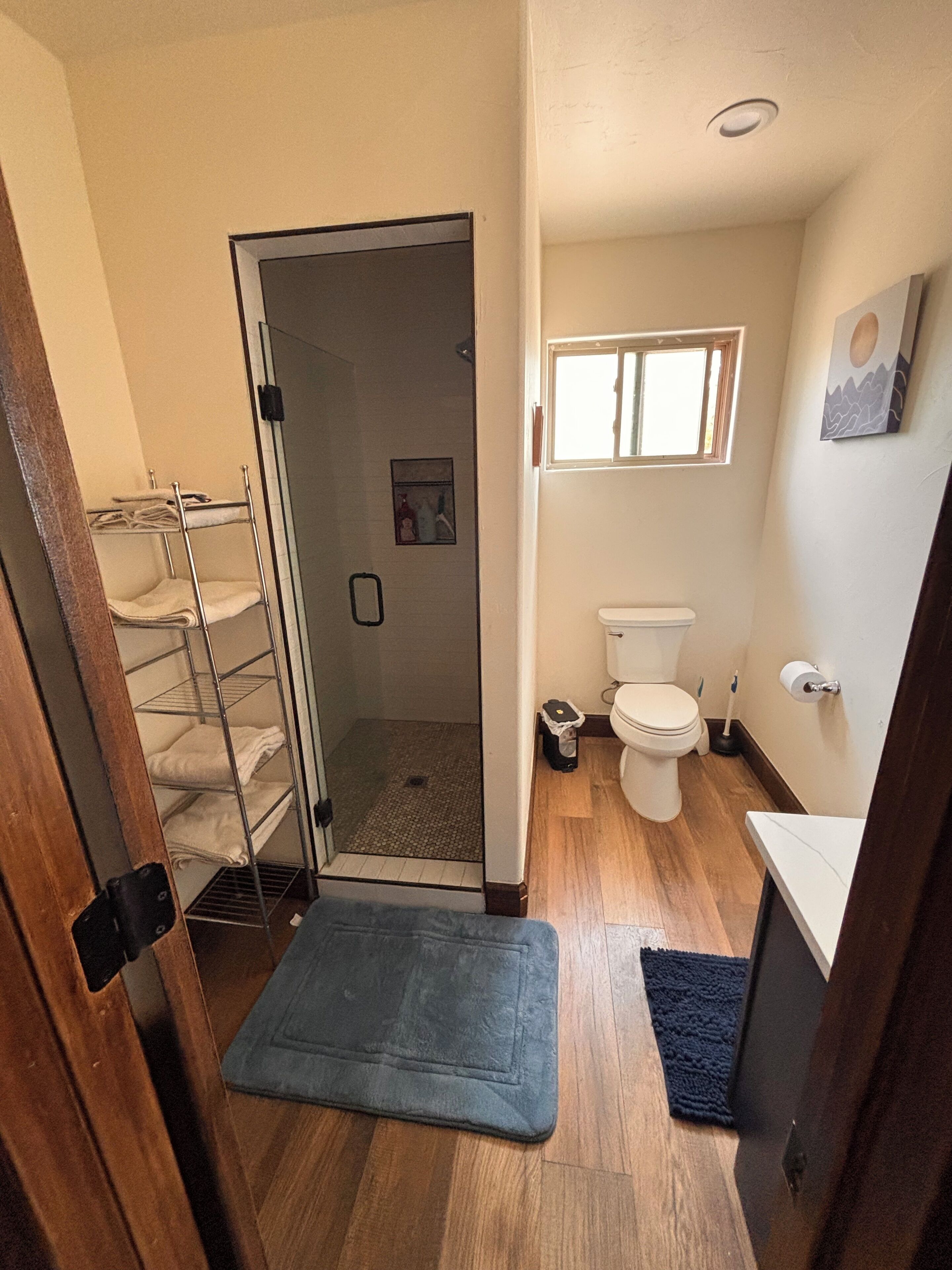 Shower, towels, soap, toilet paper