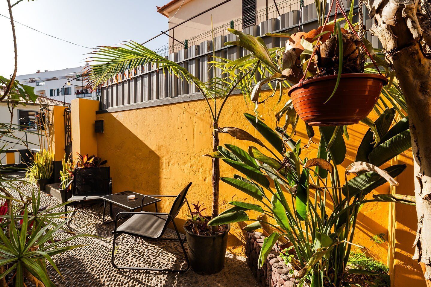 Un patio con una mesa y sillas, rodeado de plantas en macetas y una pared amarilla.