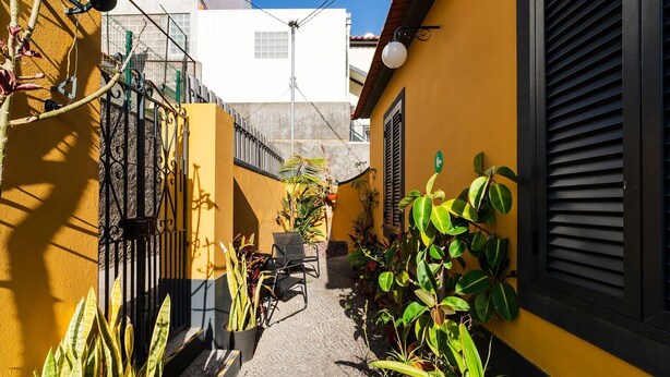 En smal passage med gule vægge, et metalgitter og krukker med planter.