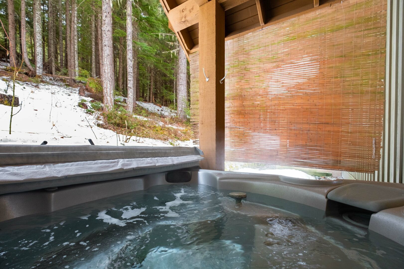 A hot tub with a view of a snowy forest.