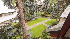 Un quartier résidentiel doté d’une pelouse bien entretenue, d’une allée pavée et de divers arbres, notamment des conifères.