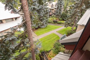 A residential area with a well-maintained lawn, a paved driveway, and a variety of trees including conifers. - Pet friendly | Renovated | Free parking | Spacious (Whistler)
