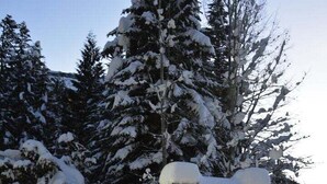 Um letreiro de pedra com a inscrição 'Wildwood Lodge', rodeado por árvores cobertas de neve.