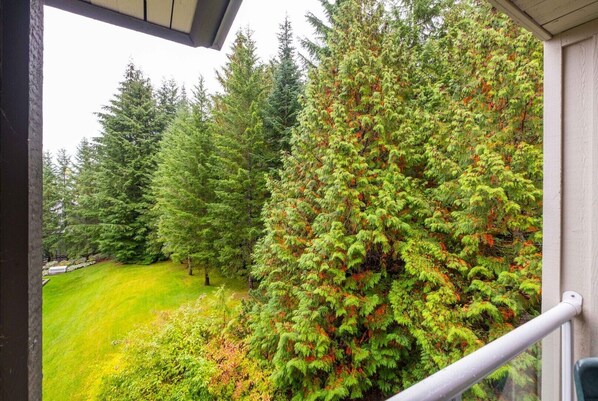 Private balcony: Forested garden view - Free Parking | Steps to Blackcomb | Shared Hot Tub (Whistler)