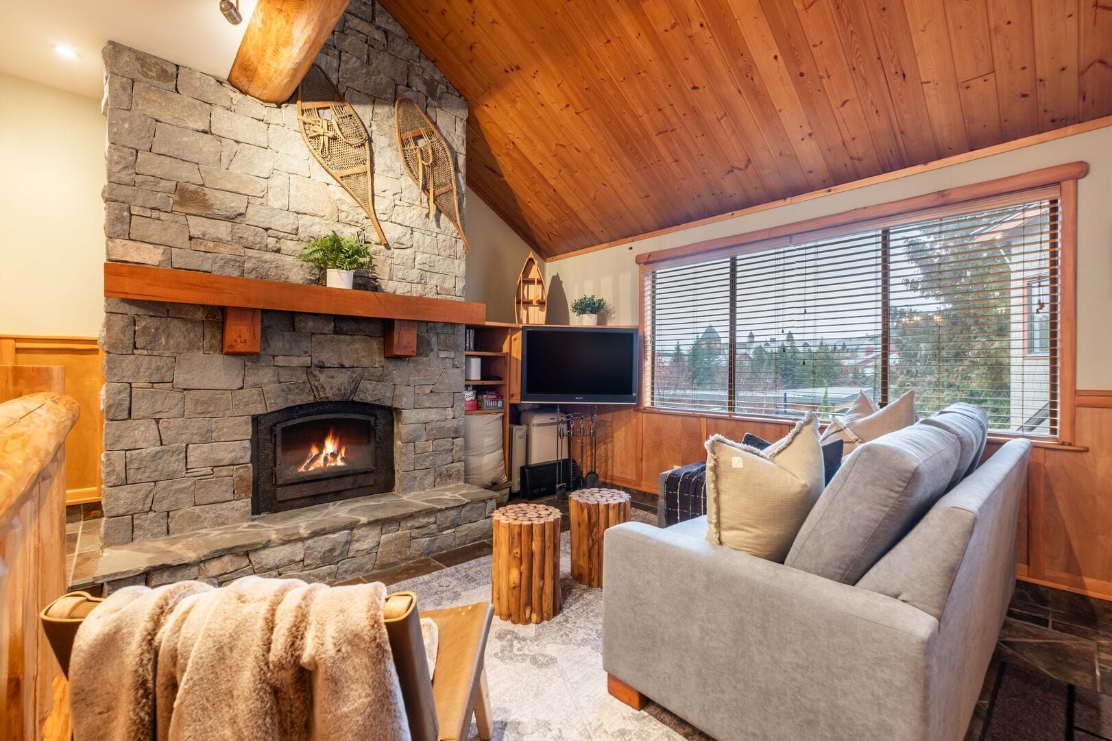 TV, fireplace