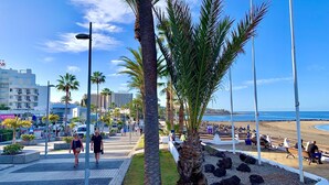 Una passeggiata lungomare con palme, panchine e vista sul mare.