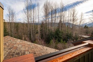 Blick von einem Balkon auf eine bewaldete Landschaft mit Bergen im Hintergrund.