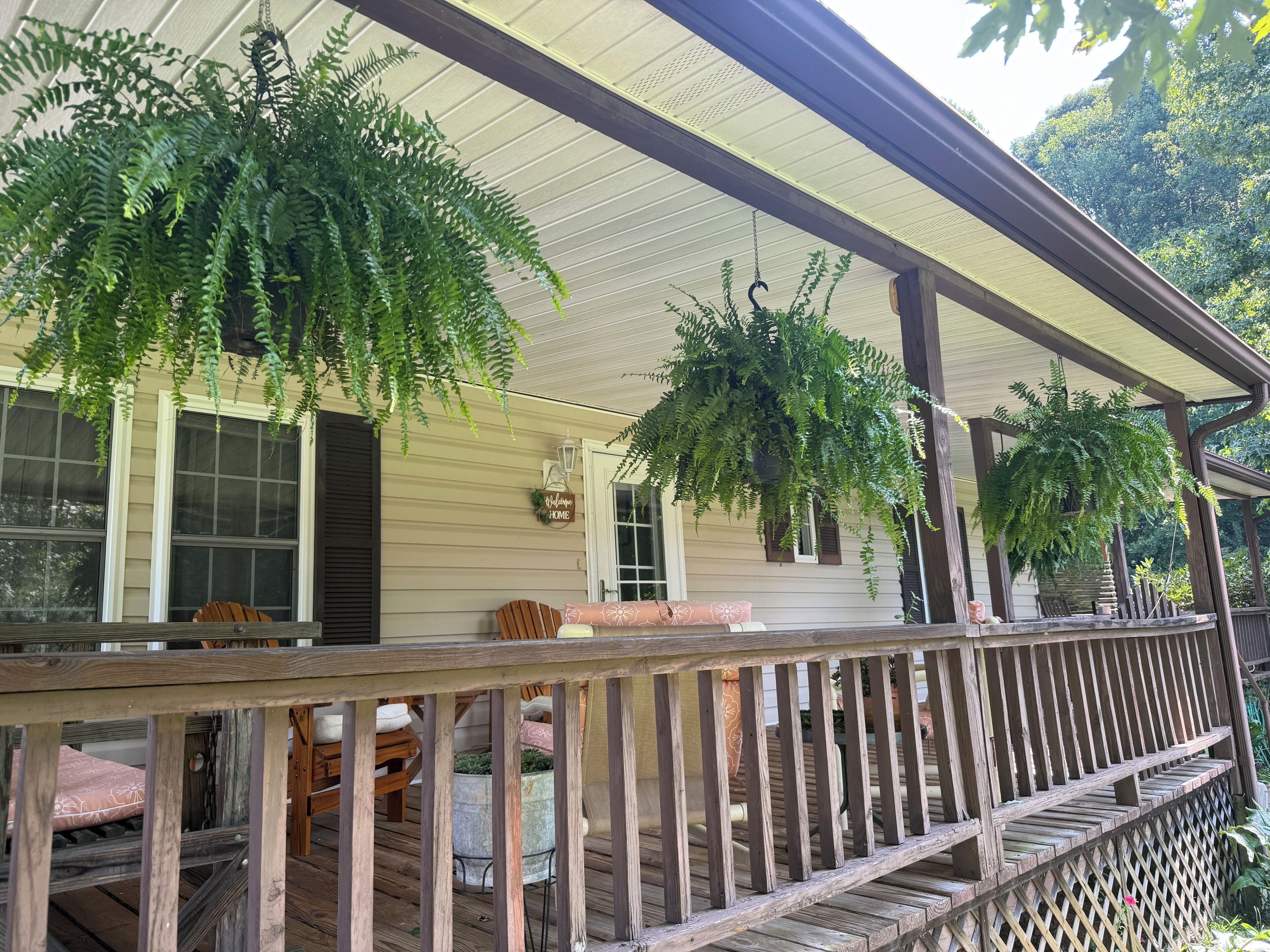 A covered porch with hanging ferns, a wooden railing, and a bench with cushions.