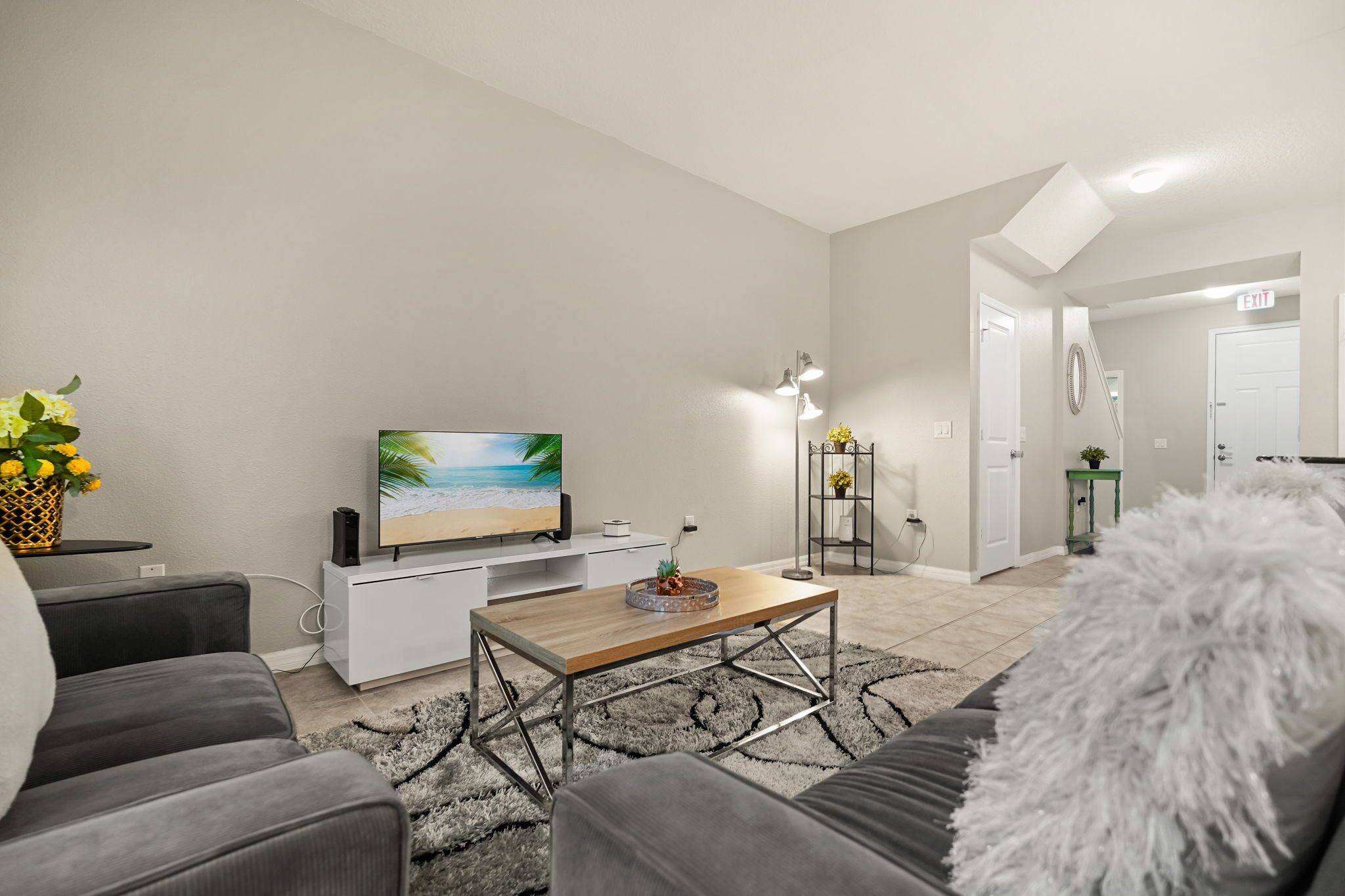 TV