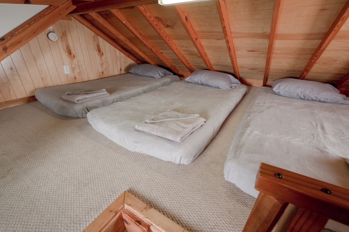 Premium Cabin, 1 Bedroom | WiFi (free)