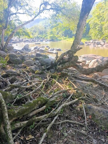 Pousada beira rio 