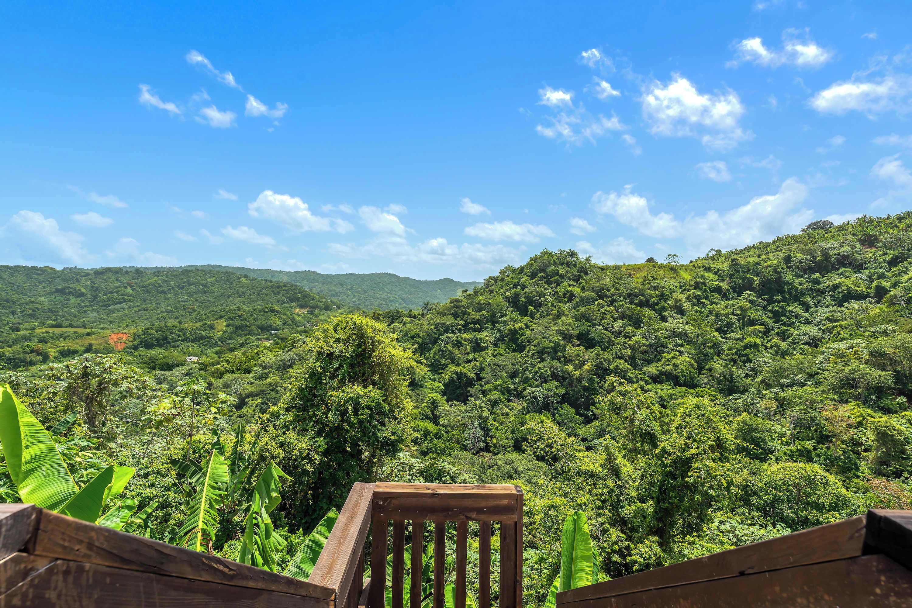 View from property