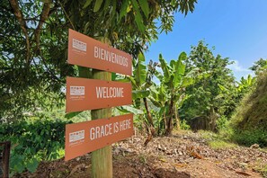 Un cartel de madera con tres señales que indican 'BIENVENIDOS', 'WELCOME' y 'GRACE IS HERE', frente a un fondo de vegetación exuberante y cielo despejado.