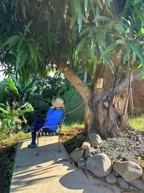 A person sitting on a bench under a tree.