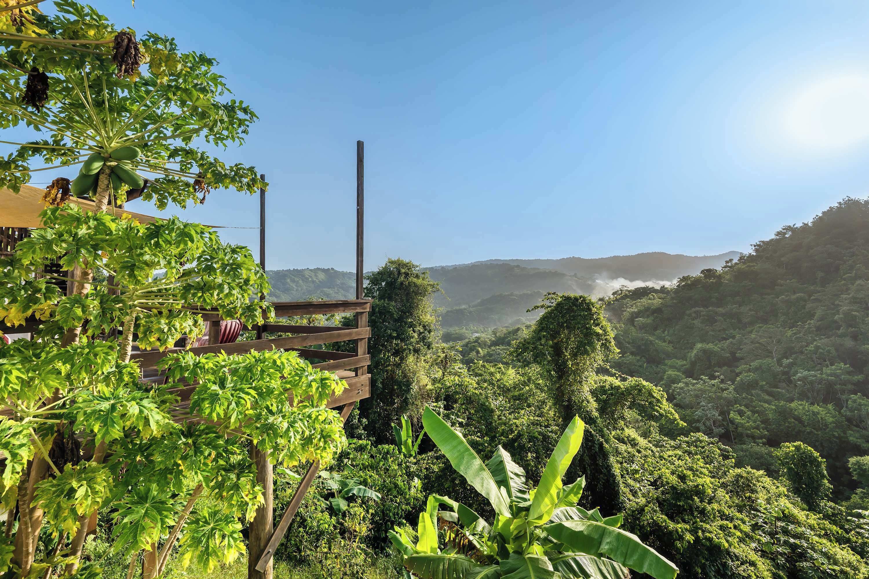 A lush green landscape with a wooden structure and a view of the surrounding hills.