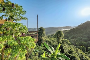 Üppige grüne Landschaft mit einer Holzhütte und Blick auf die umliegenden Hügel.