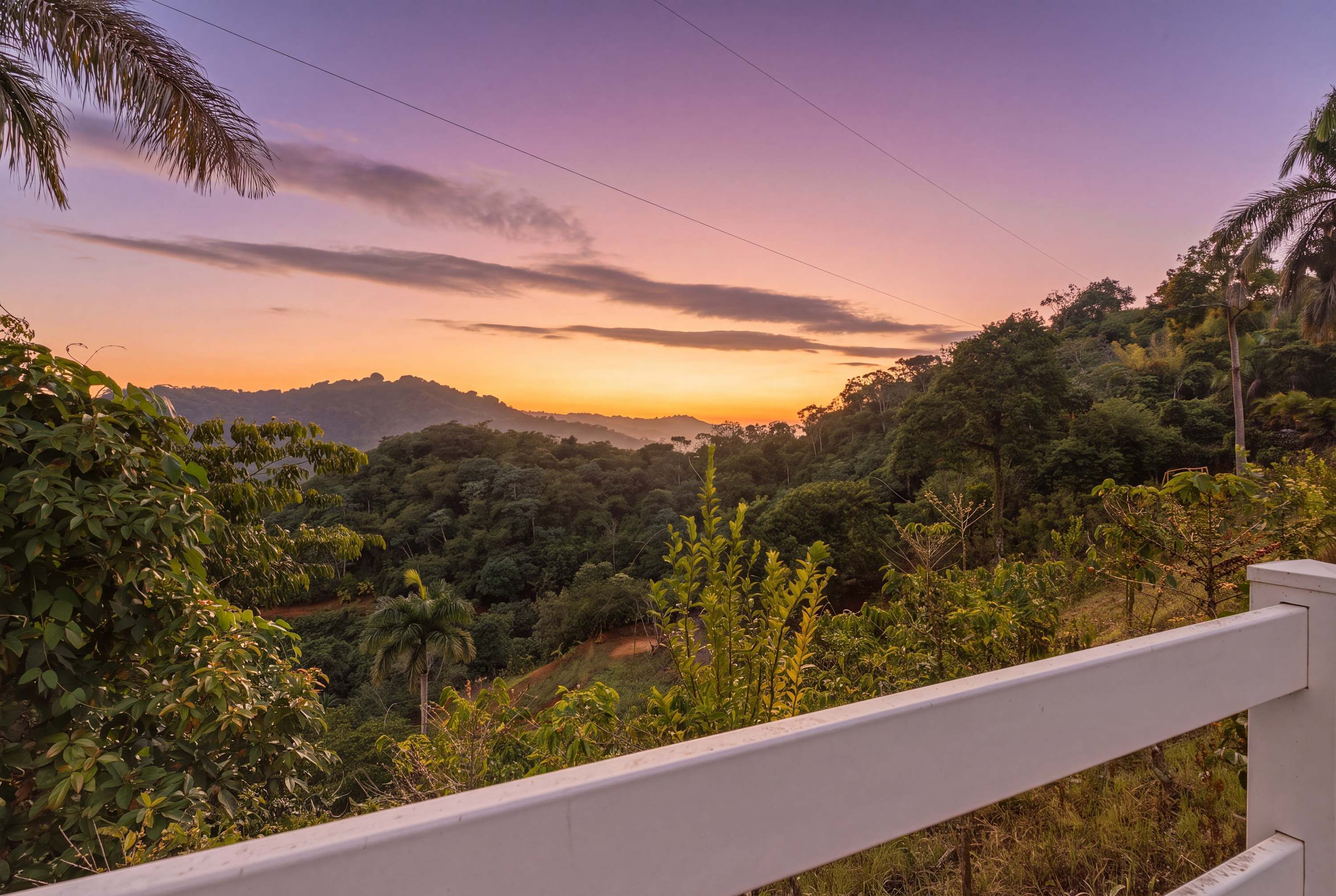 A view of a lush green landscape with a white railing in the foreground.