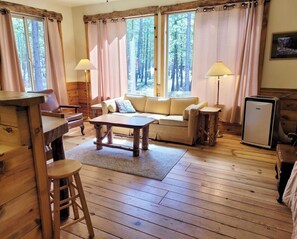 TV, fireplace, DVD player - Mazama Trails Laundry House-Dog Friendly&Close to Ski Trail! (Winthrop)