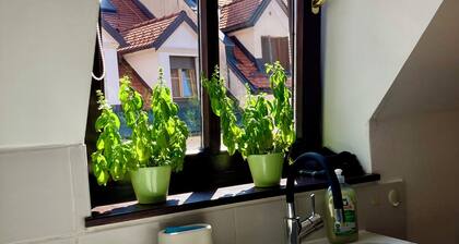 Sunny, 2-room, quiet apartment by the river in the old town