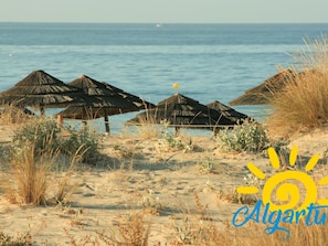 Ein Strand mit Reetdachschirmen und freiem Blick auf das Meer.