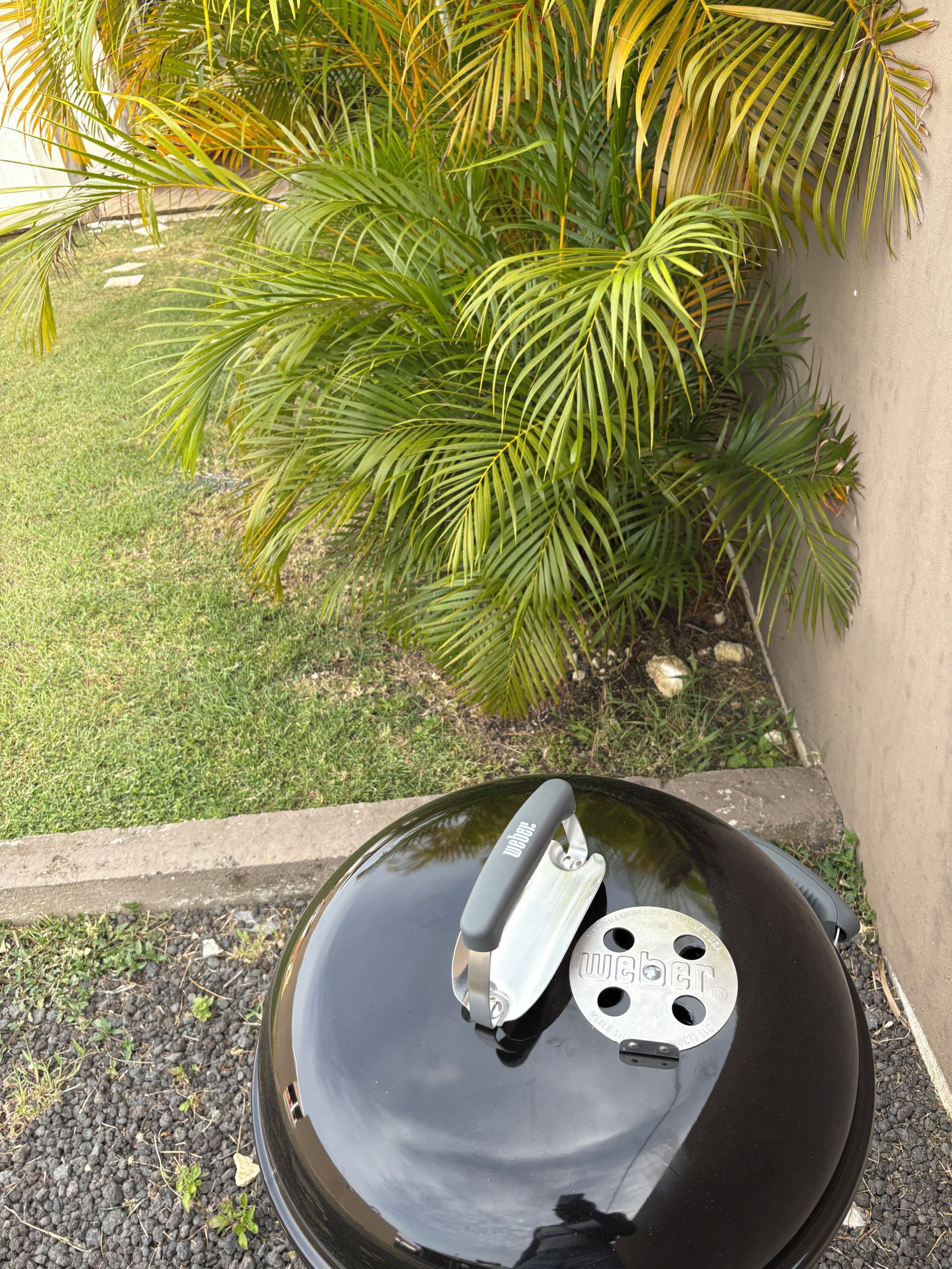 Una graella negra amb un mànec i una placa de metall, situada a l'exterior prop d'una paret i una palmera.