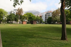 A grassy park area with trees and a small structure, surrounded by buildings and a mountain in the background. - Funchal Petrolhead Apartment (Funchal)