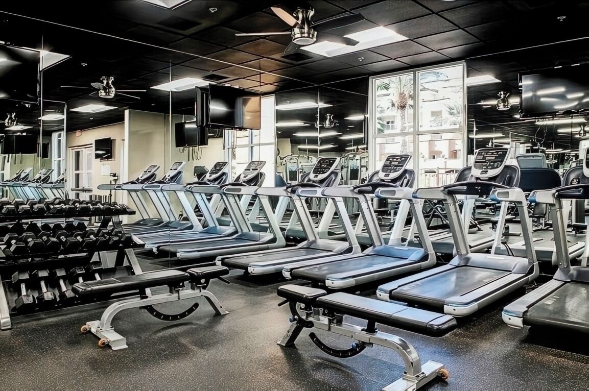 A gym with treadmills, dumbbells, and weight machines.