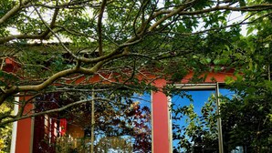 A red staircase leading up to a building with large windows, surrounded by lush green plants.