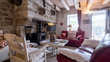 TV, fireplace, books