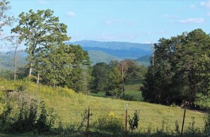 Ländliche Landschaft mit einem grünen Feld, Bäumen und einer entfernten Bergkette.