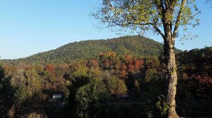 Un paisaje montañoso con una casa ubicada entre árboles.