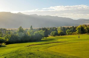 Golf - Luxurious Lake-View Retreat in Historic Old Huntsville Spa, Sauna, Hot Tub, Heated Driveway (Huntsville)