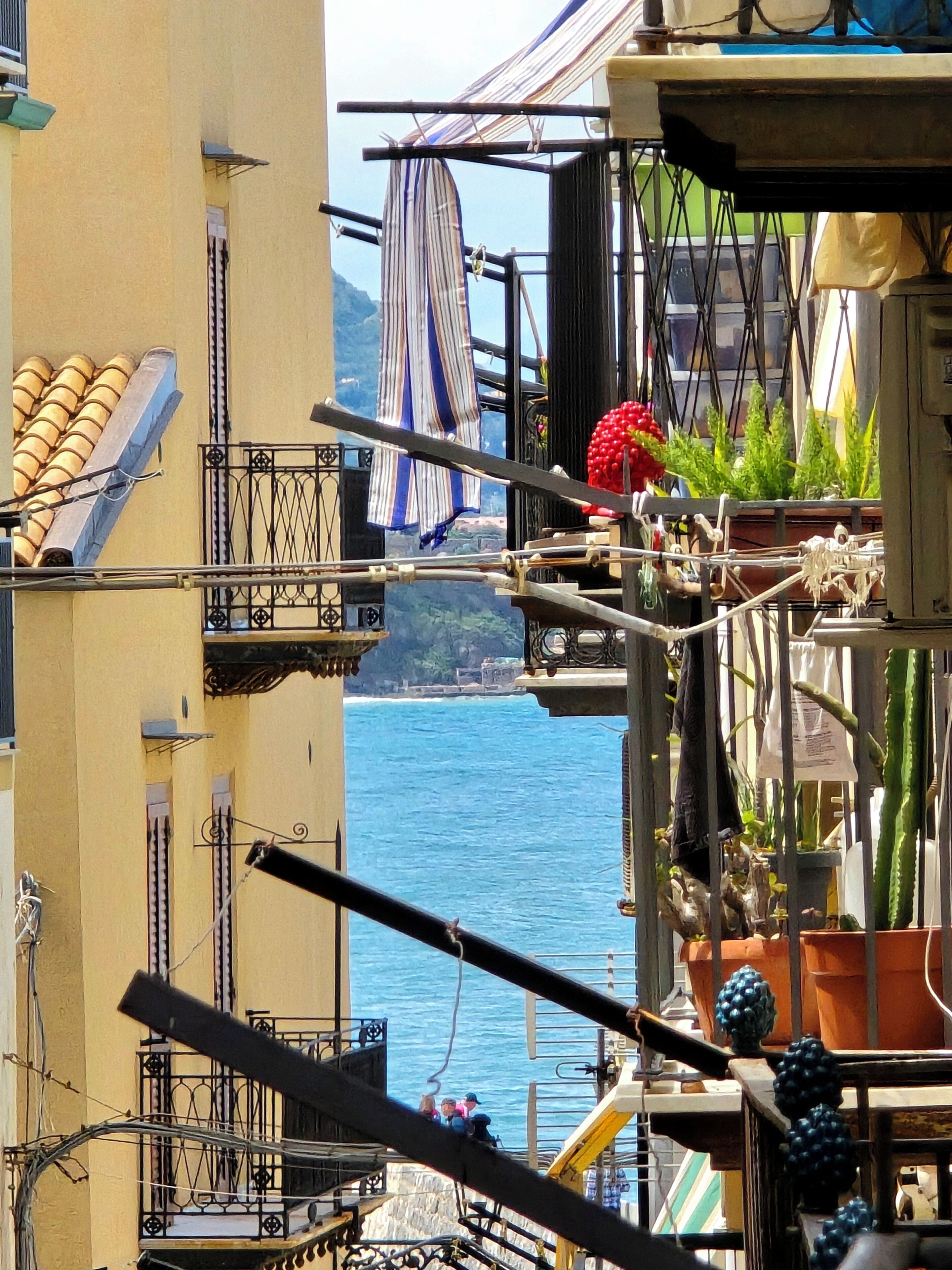 Un balcón con vistas al mar, plantas en macetas y una fruta roja.