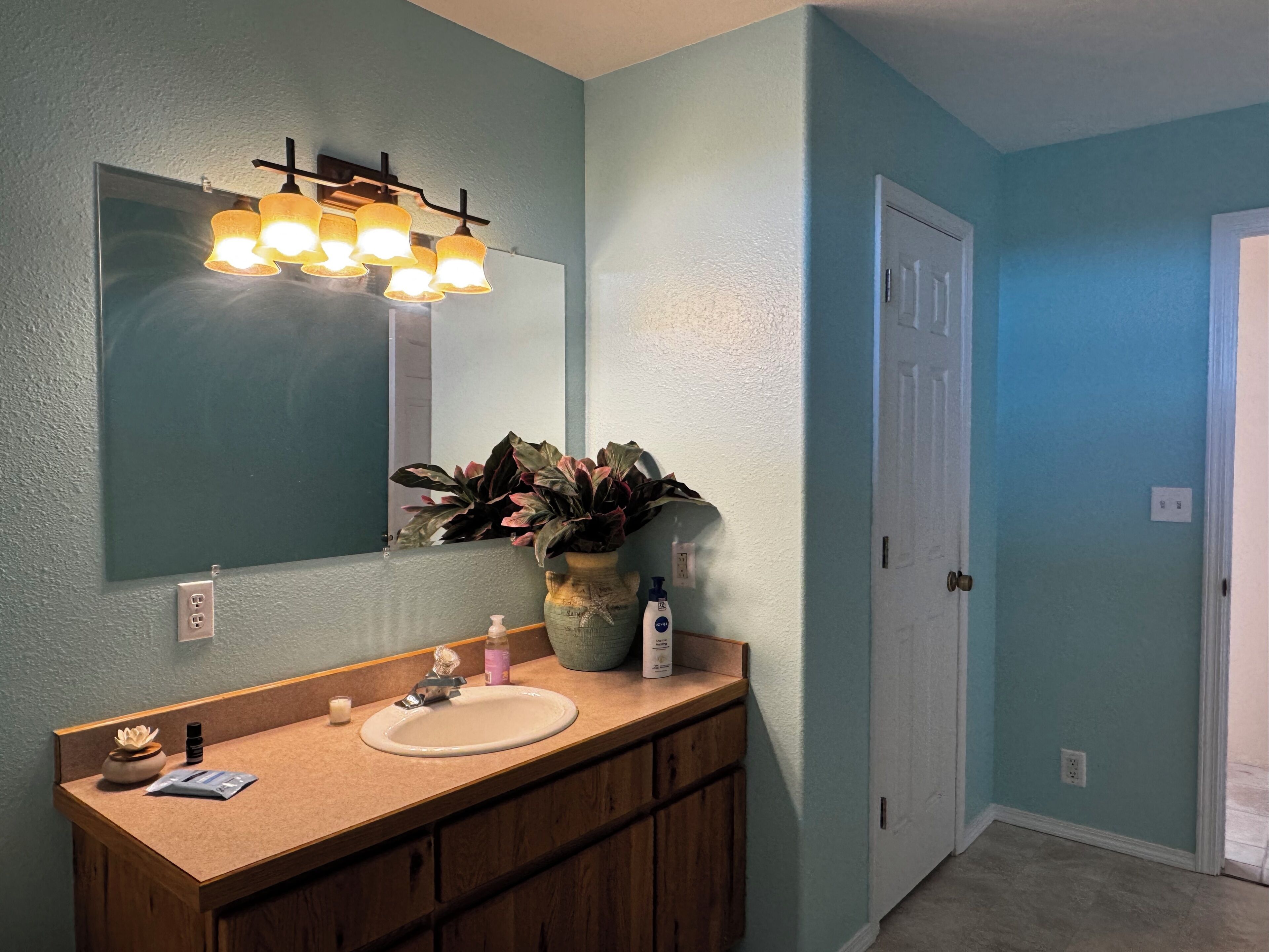 Shower, jetted tub, hair dryer, towels