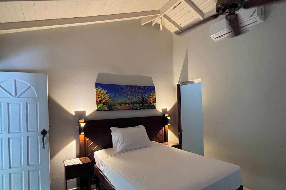 Deluxe Single Room, Garden View | In-room safe, blackout drapes, WiFi (free)