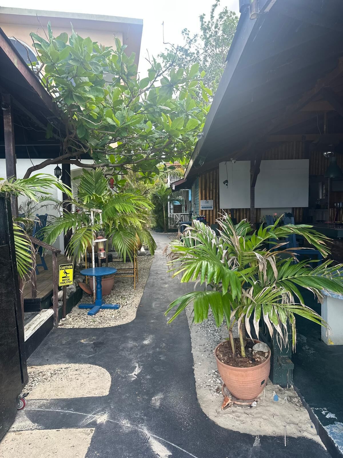 Un étroit sentier bordé de plantes en pot et agrémenté d’un panneau d’avertissement, menant à un bâtiment à la façade en bois et à une table bleue avec des chaises.