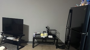 Ein gemütlicher Wohnraum mit Flachbildfernseher, Kühlschrank, einem kleinen Tisch mit diversen Gegenständen und einer Couch.