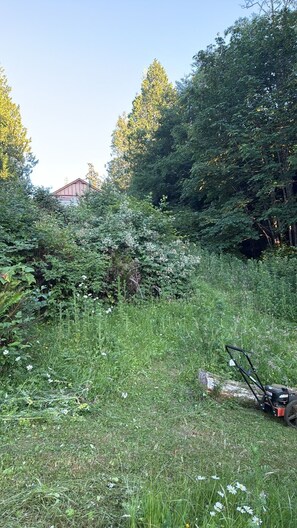 Property grounds - Alcove Oceanfront Pebbled Beach House—first level (Sooke)